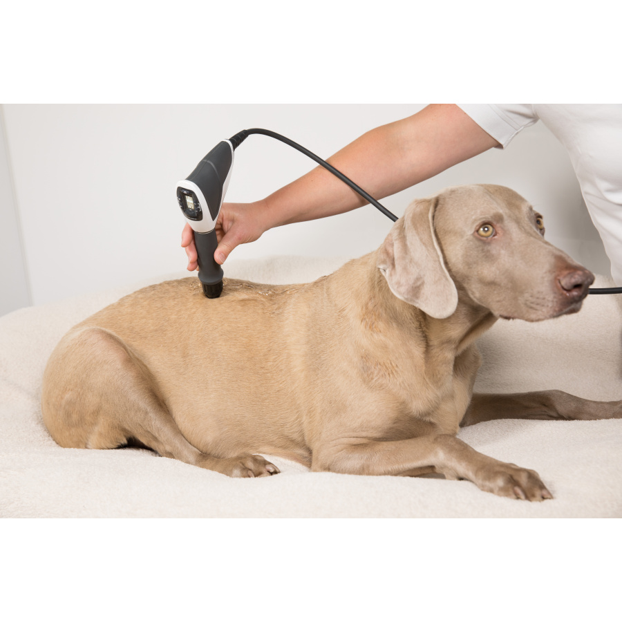MASTERPULS MP100 VET »ultra«